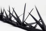 Súper picos de seguridad barda Aloe